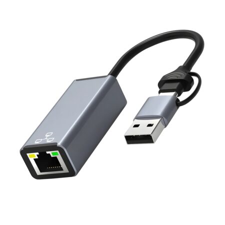 2-in-1 USB Type C & USB A to RJ45 Ethernet Adapter